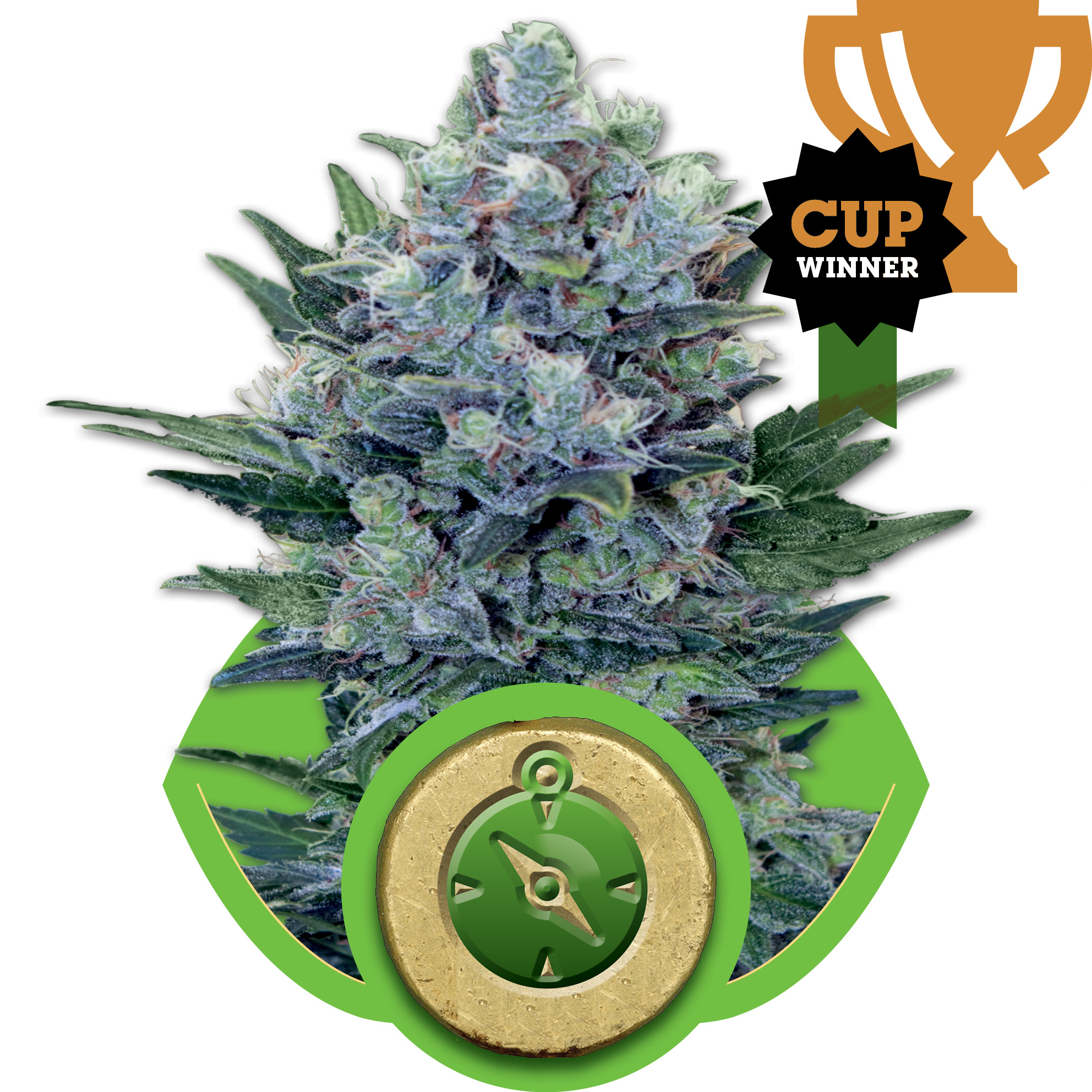 Northern Light Auto Feminised Seeds product image
