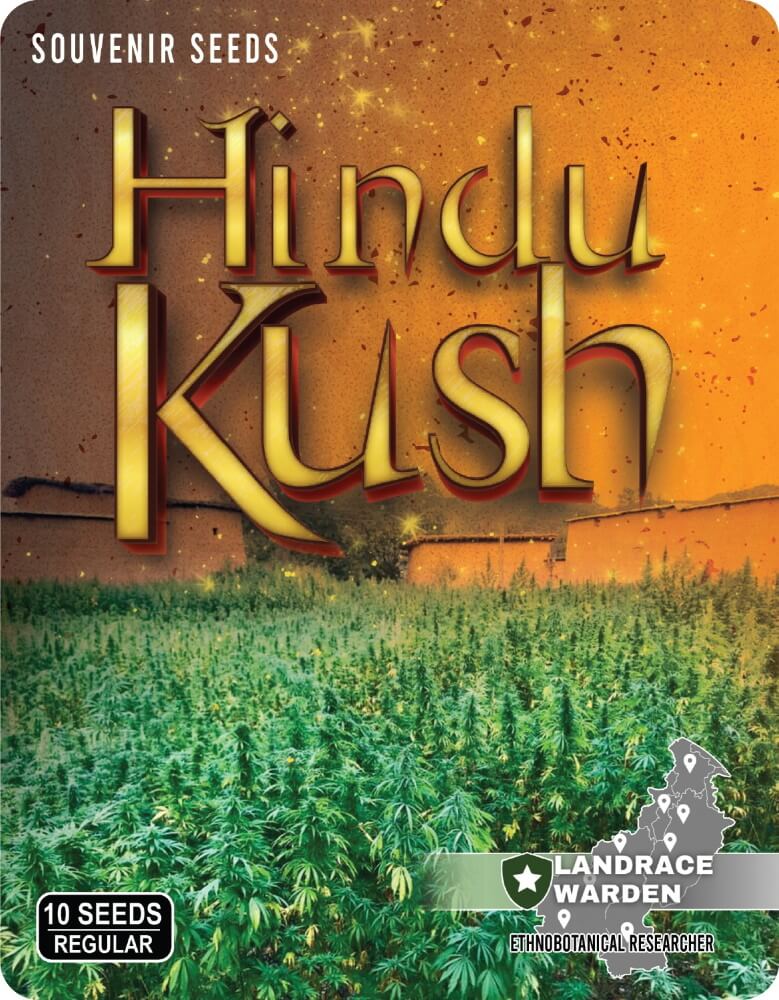 Hindu Kush Regular Seeds product image