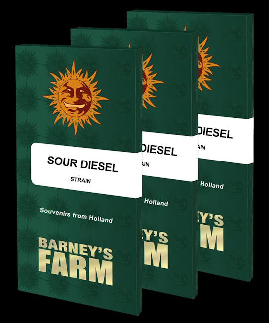 Sour Diesel Feminised Seeds product image