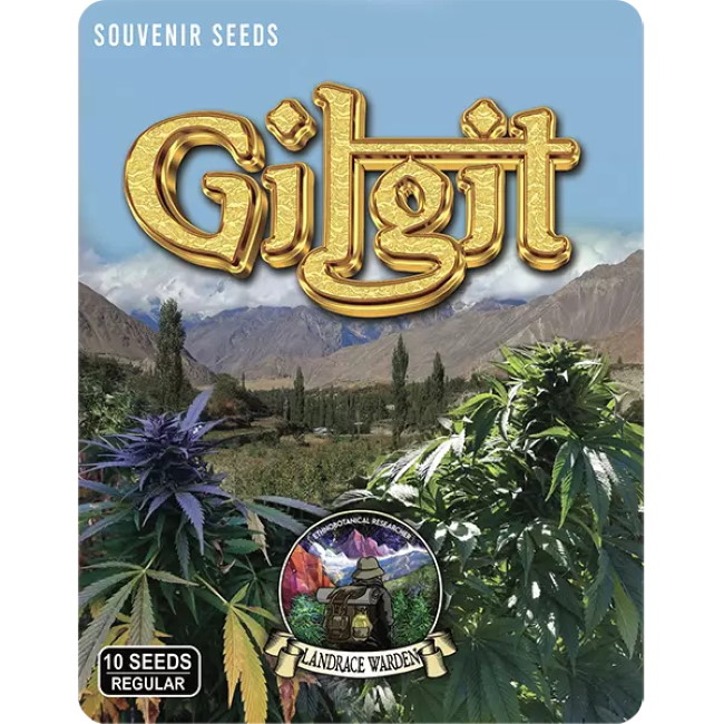 Gilgit Green Regular Seeds product image