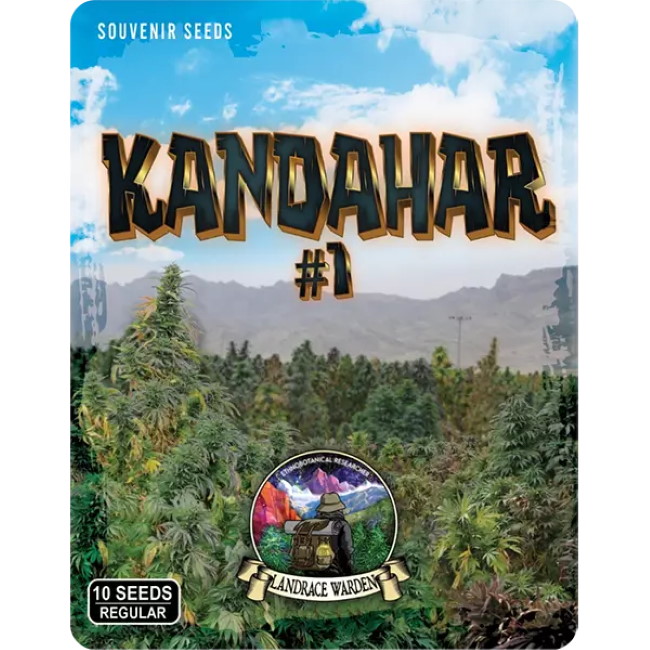 Kandahar Arghandab #1 Regular Seeds product image
