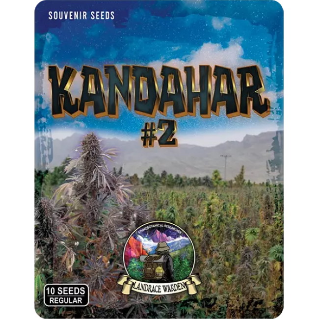 Kandahar Arghandab #2 Regular Seeds product image