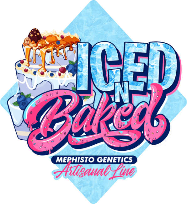 Iced 'n' Baked Auto Feminised Seeds product image