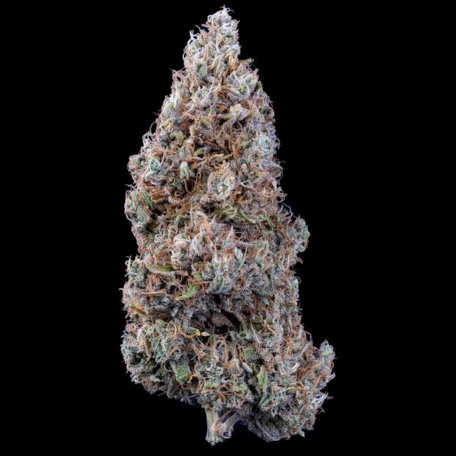 Bubbasquanch Auto Feminised Seeds product image