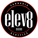 Elev8 Seed Grinder - 1 Unit