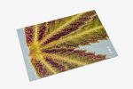 Seedsman Postcard Set