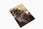 Seedsman Postcard Set