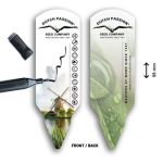 Dutch Passion Pot Label - 100 units