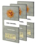 Caramel CBD Regular Seeds - 10