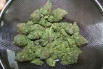 Remedy Regular Seeds - 18