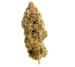 Amnesia Haze Regular Seeds - 10