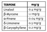 Emerald Fire OG Regulär Samen - 10