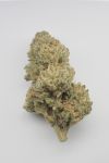 Remedy CBD Feminised Seeds - 10