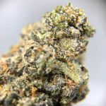 Banana Foster Feminised Seeds - 5