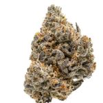 Pillsbury Droboy Feminised Seeds - 5