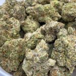 Ice Cold Feminised Seeds - 5