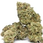 Face Gas AUTO Feminised Seeds - 5