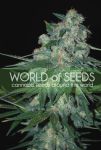 Ketama Feminised Seeds