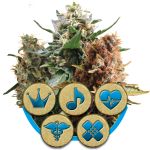 Medical Mix CBD Féminisée Graines