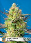 Sweet Cheese XL Auto Feminisiert Samen
