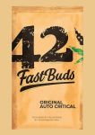 Original Critical Auto Feminizowane Nasiona