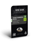 Sensi Amnesia Auto Feminised Seeds