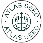 GMO Fast Feminised Seeds