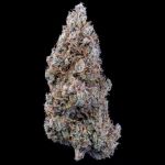 Crème Bubbly Auto Feminised Seeds