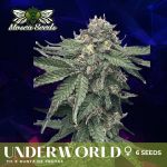 Underworld Feminized Seeds