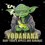 Yodanana Feminized Seeds