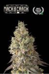 Mack & Crack Auto Feminised Seeds
