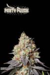 Panty Punch Auto Feminised Seeds