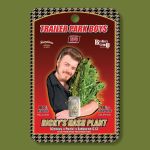 Ricky's Hash Plant seed pack