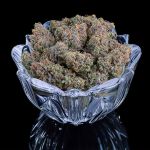 Apollo strain by Brothers Grimm