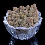 Cinderella Pineapple strain by Brothers Grimm