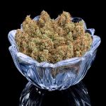 Durban Thai 99 strain by Brothers Grimm
