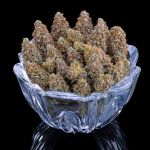 G13 Genius strain by Brothers Grimm