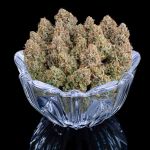 Grimm Glue strain by Brothers Grimm