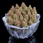 Rosetta Stone strain by Brothers Grimm