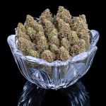 Space Queen strain by Brothers Grimm