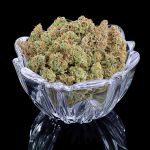 Thai Herer 99 strain by Brothers Grimm