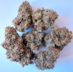 African Gas Feminised strain by Ace Seeds