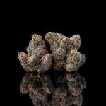 Runtz Carlton Feminised strain by Compound Genetics