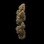 Seedsman Ice Cream Cake Fast cannabis strain
