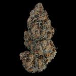Seedsman Blue Dream Auto cannabis strain