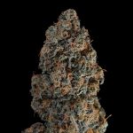 Seedsman Blue Dream Auto cannabis strain