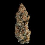 Seedsman Gelato 41 BX Auto cannabis strain