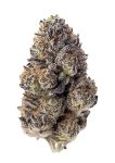 Papaya Sherbert Feminised strain by Fast Buds