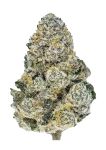 Lemonpaya Feminised strain by Fast Buds