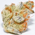 Platinum Kush Breath Remix Feminised strain by In House Genetics